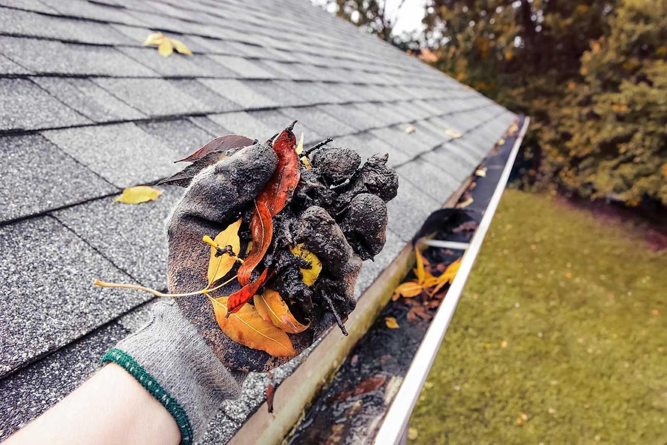 Expert gutter cleaning services in Portland Oregon by CWAGS
