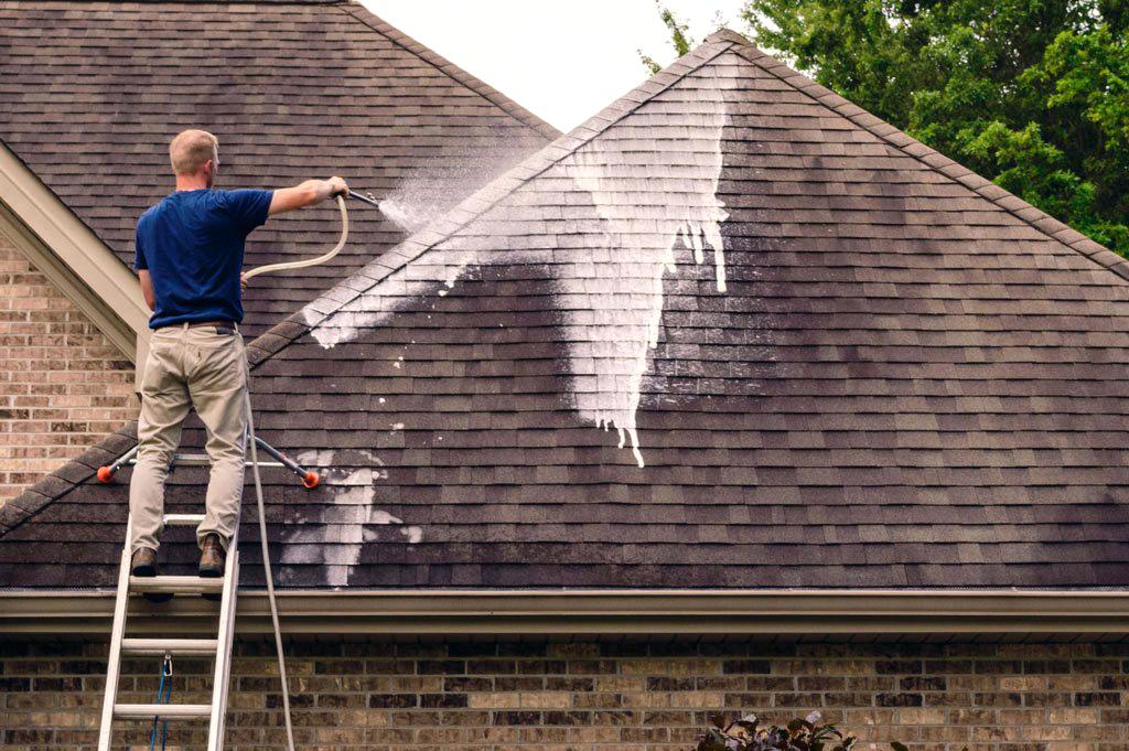 Expert roof cleaning services in portland oregon by CWAGS