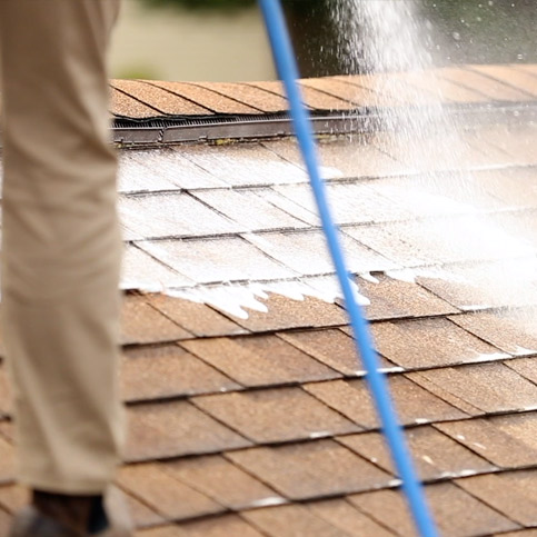 Expert Roof Cleaning Portland Oregon by CWAGS